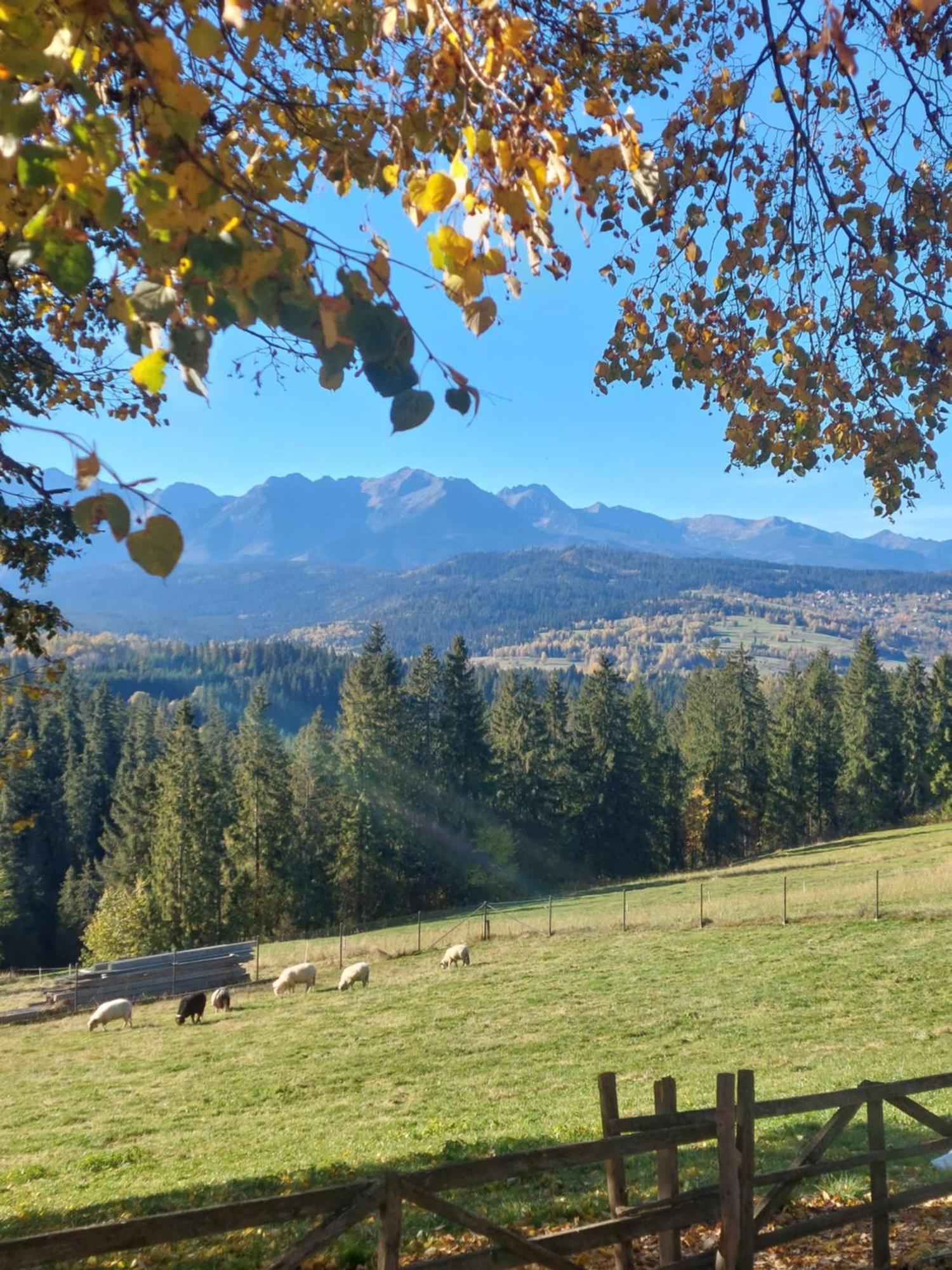 Panoramiczny Wierch Rzepiska Zewnętrze zdjęcie